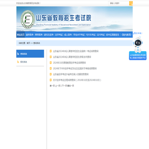 查询系统_山东省教育招生考试院
