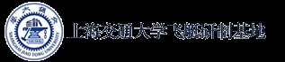 飞艇_遥控飞艇_无人飞艇_系留气球_苏州方舟航空科技有限公司